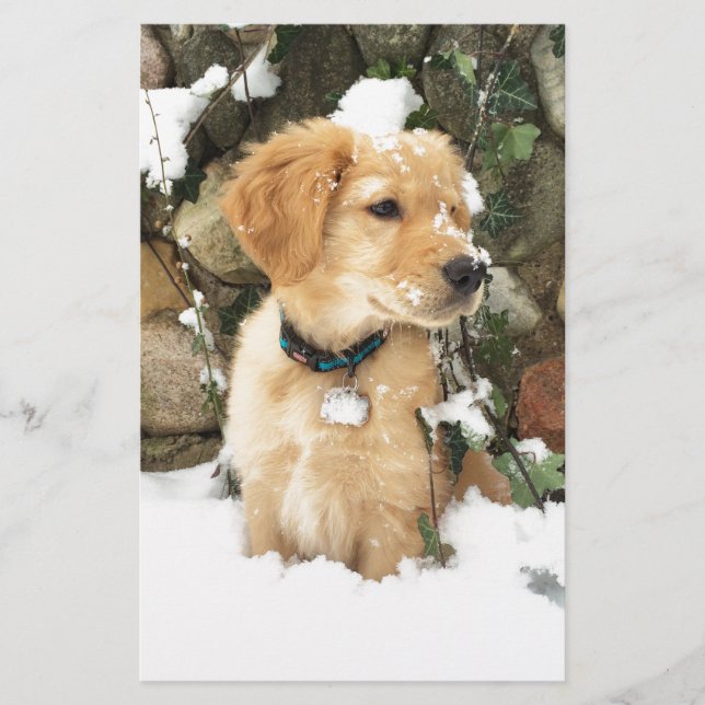 Foto da Cuppy (Frente)