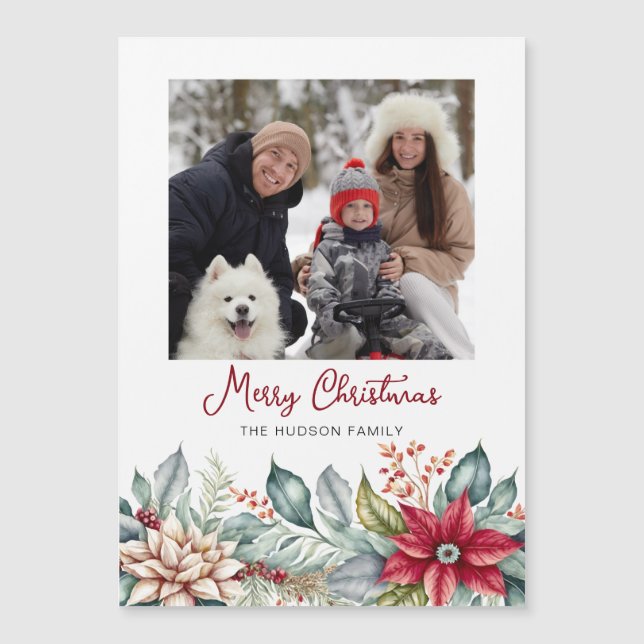 Foto da Família Poinsettias de Natal Colorida (Frente)