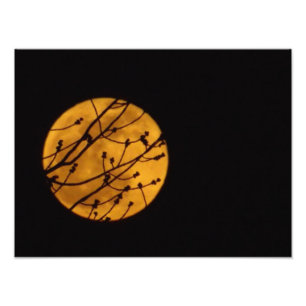 Foto da Lua Completa