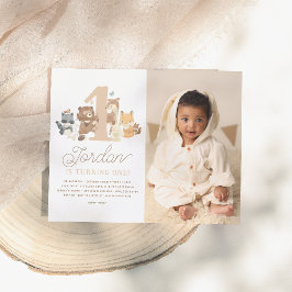 Foto da Primeira Festa de aniversário de Animais d