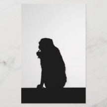 Foto da silhueta de macaco