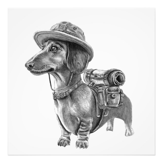 Foto Dachshund aventureiro (Frente)