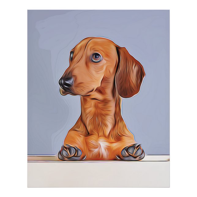 Foto Dachshund Olhando Para Longe O Cachorro Poster de  (Frente)