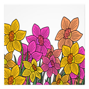 Foto Daffodils Coloridos Flores Design