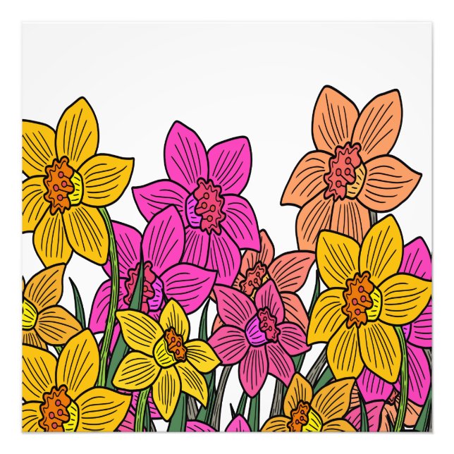 Foto Daffodils Coloridos Flores Design (Frente)