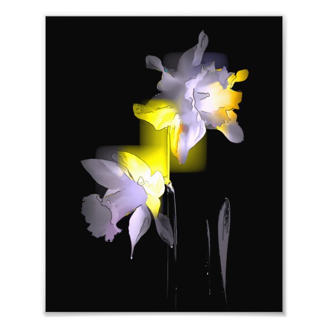 Foto Daffodils Cubist (Frente)