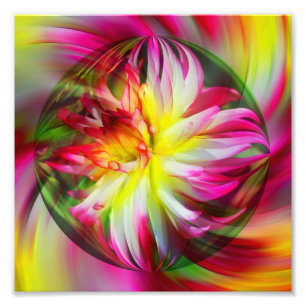 Foto Dahlia Flower Floral Abstrato Art 8x8