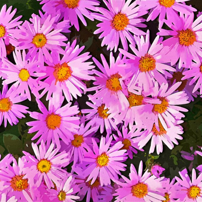FOTO DAISES (A watercolor of pretty pink daisies.)