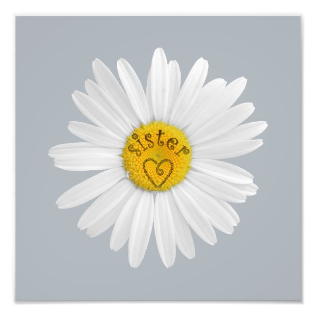 Foto Daisy Flower For Sister Art Customize Background (Frente)