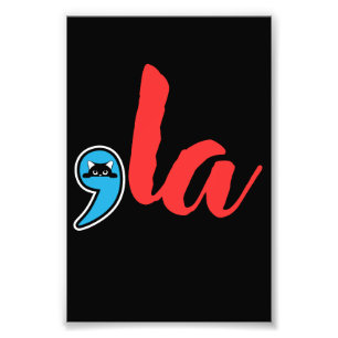 Foto Dama de Gato Coma La 2024