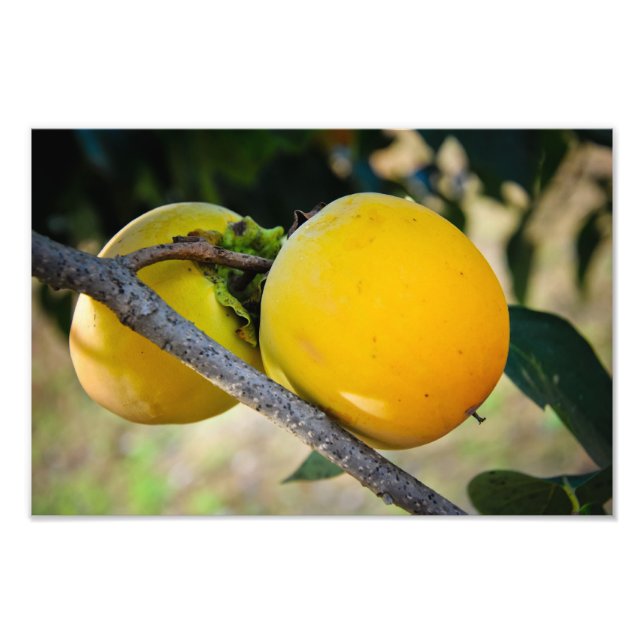 Foto Damascos (Frente)