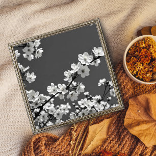 Foto Dança Delicada: Cerejeiras em Flor em Preto e Bran