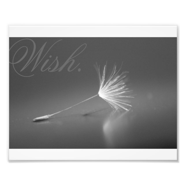Foto Dandelion Wish Photo (Frente)