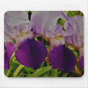Foto das flores da íris púrpura Mousepad