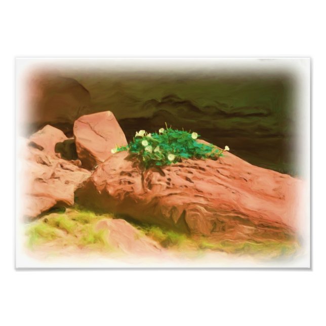 Foto Datura Cavern (Frente)