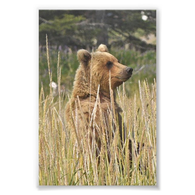 Foto de 6x4 (Frente)