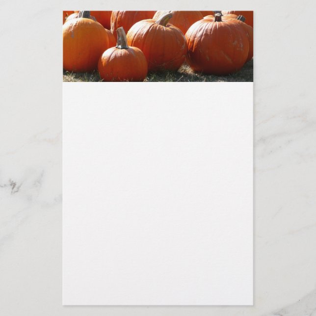 Foto de Abóboras para Outono, Halloween ou Dia de  (Frente)