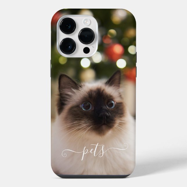 Foto de animais de estimação fofos para lembrar (Verso)