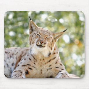 foto de animais de gato lince. mouse pad