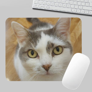 Foto de animal de estimação personalizada Mousepad