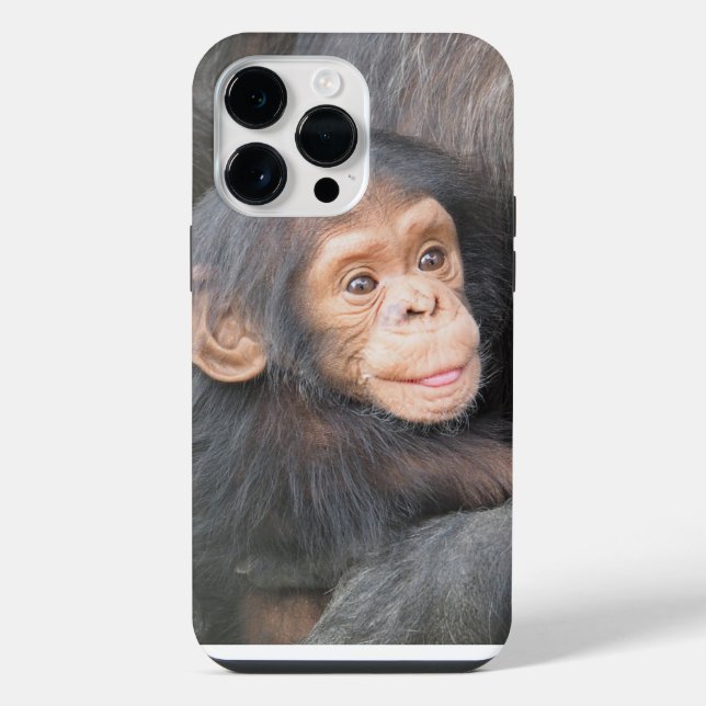 Foto de Bebê Chimpanzé Fofo (Verso)
