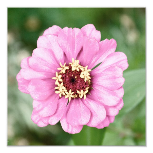 Foto de beleza de Johann (Frente)