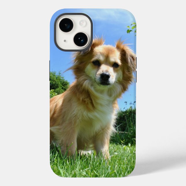 Foto de Cachorrinho Fofo no Jardim (Verso)