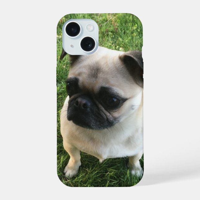 Foto de cachorrinho Pug (Verso)