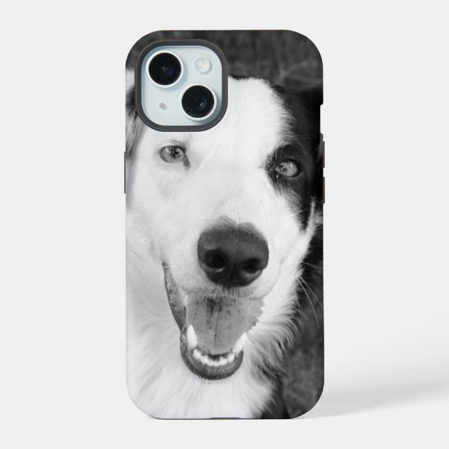 Foto de Cachorro Preto e Branco Personalizável (Verso)