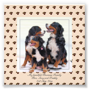 FOTO DE CÃES Básicos Cute Mountain Chamada Keeps