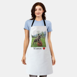 Foto de cão e nome Mulher Buldogue Francesa