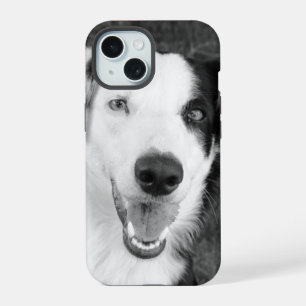 Foto de Cão Preto e Branco Personalizável