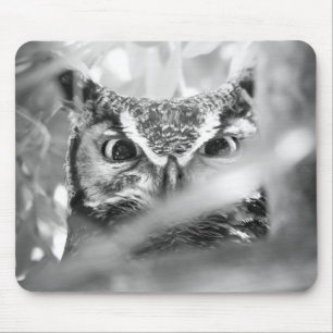 Foto de Coruja-de-chifres em Mouse Pad Preto e Bra