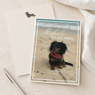 Foto de Dachshund Agradecimento por Cuidar do Pet