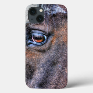 Foto de equídeo de pintura para amantes de cavalos