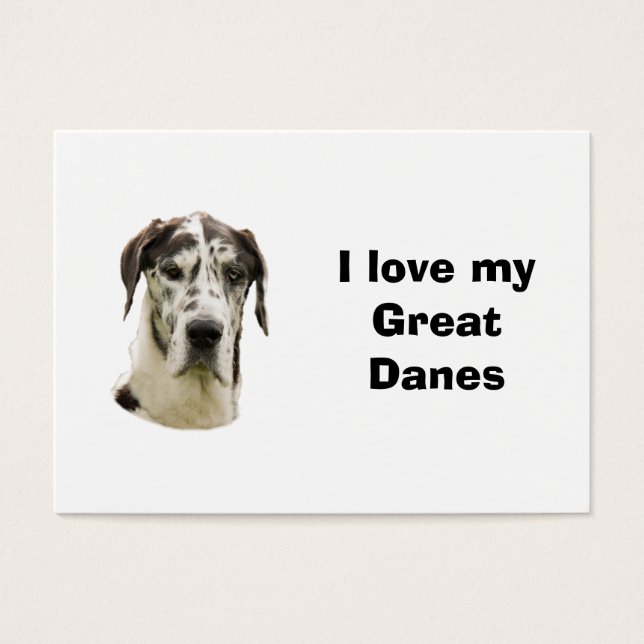 Foto de estimação Halequin Great Dane (Frente)