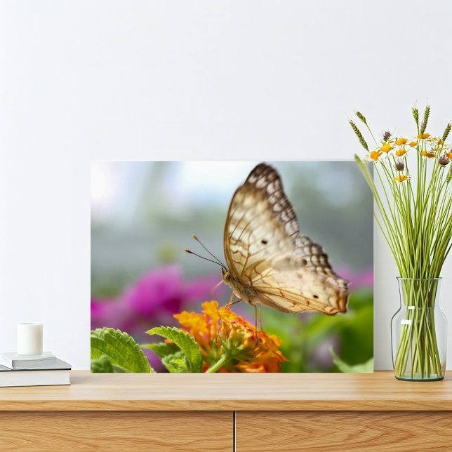 Foto de fechamento da borboleta e da flor (Tropical butterfly nature print with orange and purple pink flowers. Simple and vibrant.)