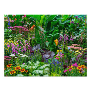 Foto de Flores de Verão de Jardim de Cottage Inglê