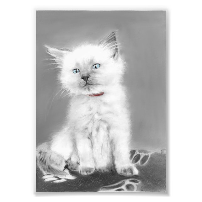 Foto de gatinho fofo (Frente)