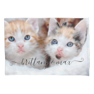 Foto De Gatinhos De Pet Da Família Bonita