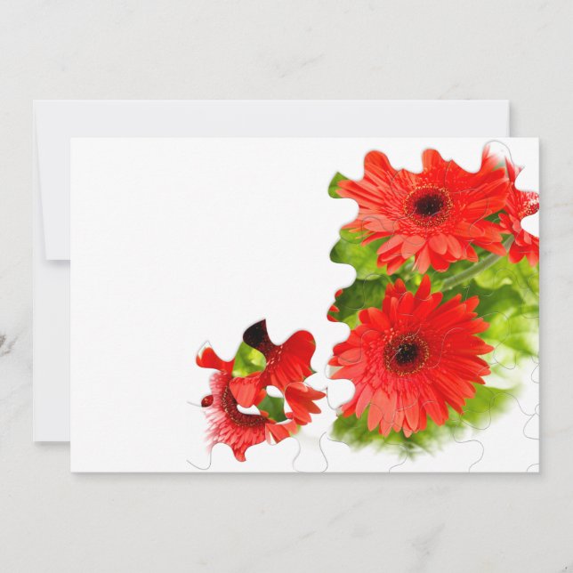 foto de gerbera quebra-cabeça (Frente)