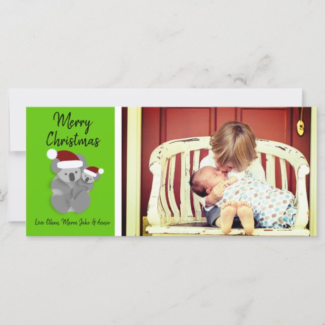 Foto de Koalas de Natal (Frente)