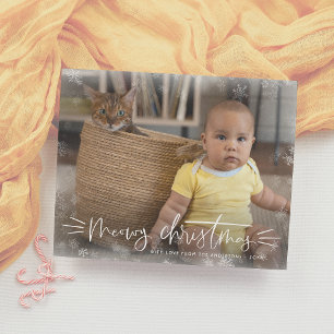 Foto de Natal de Gato Suave do Orçamento