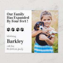 Foto de Orçamento Cachorro Puppy Novo Anúncio de P