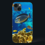 Foto de Peixe tropical num recife de coral<br><div class="desc">Foto de Peixe tropical em um recife de coral © e ® Bigstock® - Todos os direitos reservados.</div>