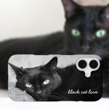 Foto de Pet de Cat Preta Personalizada