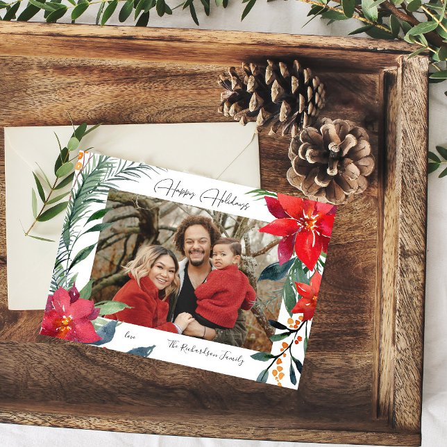 Foto de Poinsettia de Boas Festas (Criador carregado)