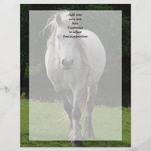 Foto de pônei bonito