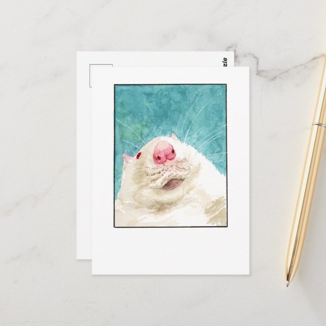 Foto de Rato de Estimação - Cartões Postais DNM (Frente/Verso In Situ)