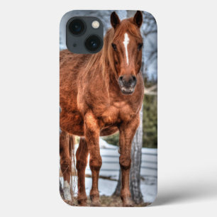 Foto de Red Dun Ranch Horse Equine-lover